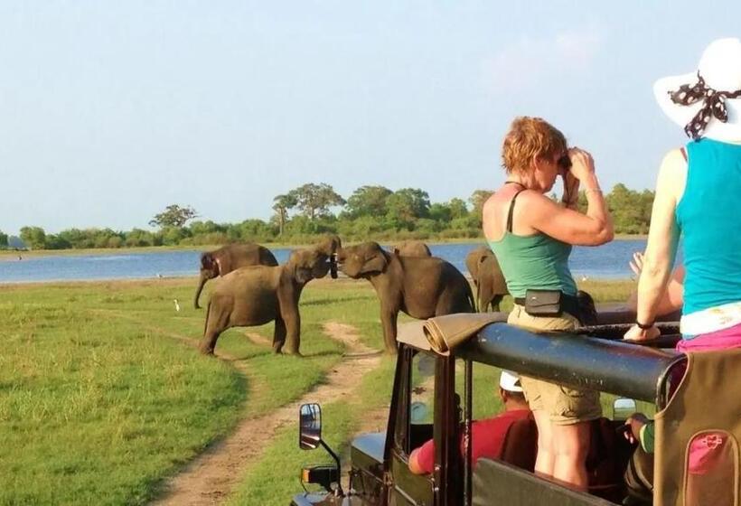 酒店 Canal Side Guest House Polonnaruwa