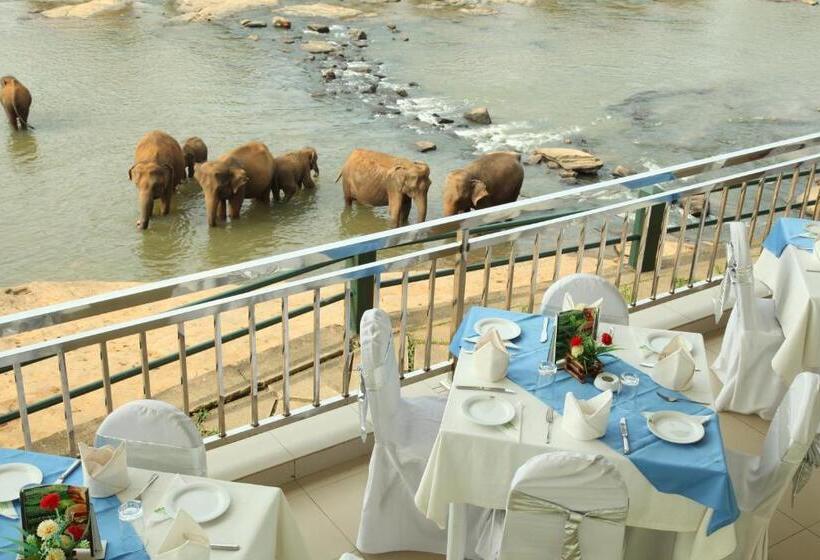 ホテル Pinnalanda   New Deal! Half Off Airport Pickups Available