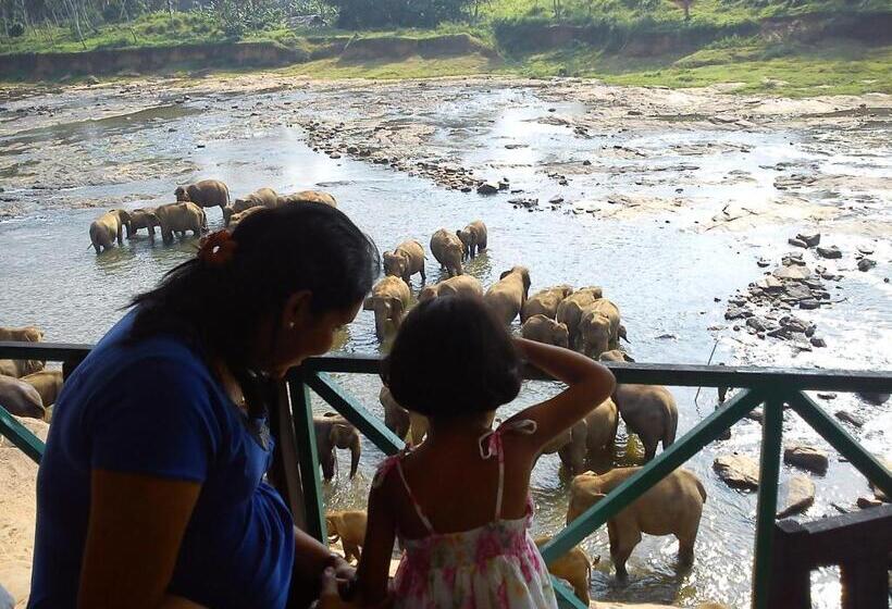 ホテル Pinnalanda   New Deal! Half Off Airport Pickups Available