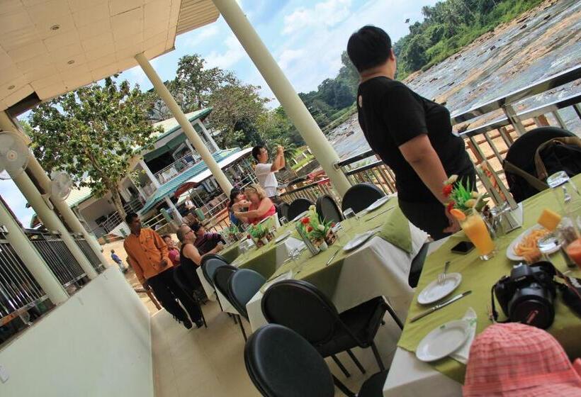 ホテル Pinnalanda   New Deal! Half Off Airport Pickups Available