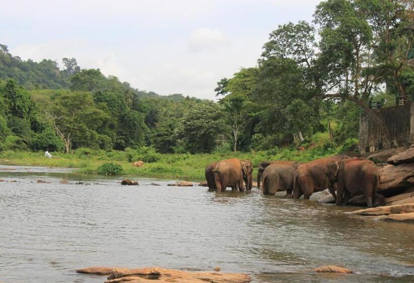 ホテル Pinnalanda   New Deal! Half Off Airport Pickups Available