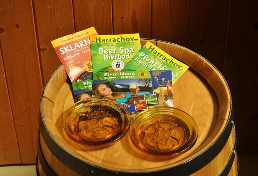 Hotel Sklárna Harrachov