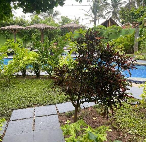 فندق Solomon Beach