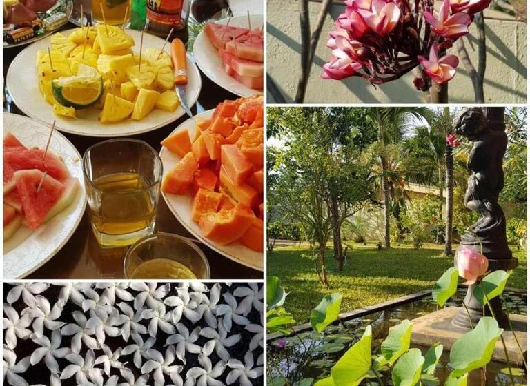 فندق Solomon Beach