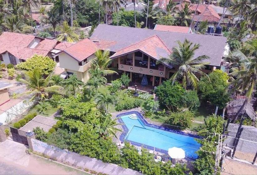 فندق Solomon Beach