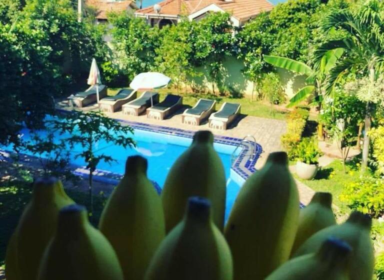 فندق Solomon Beach