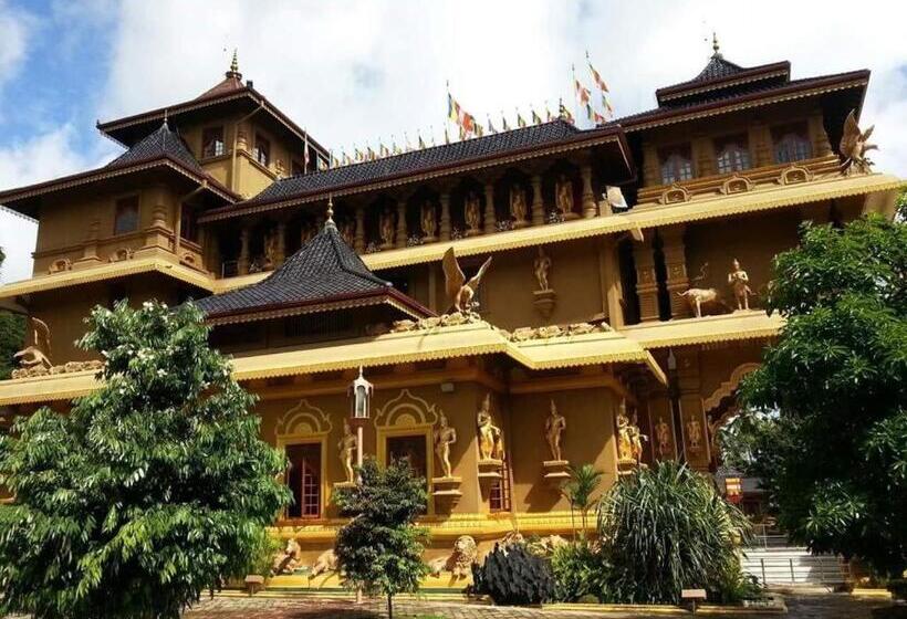 فندق Solomon Beach