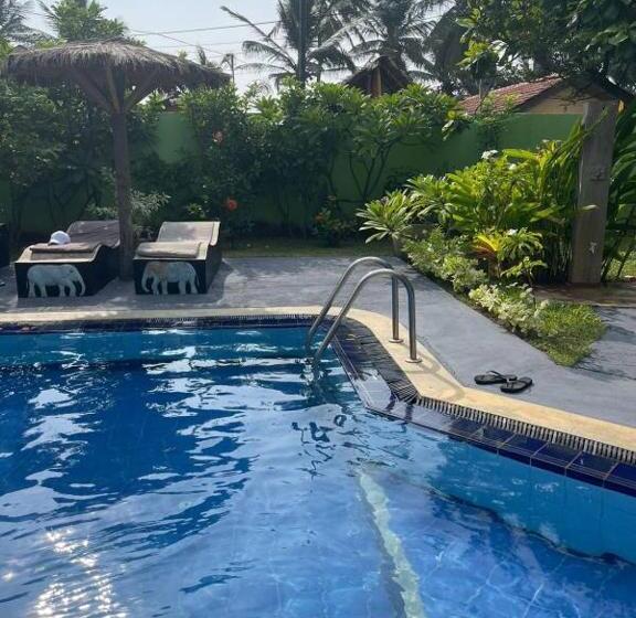 فندق Solomon Beach