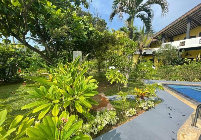 فندق Solomon Beach