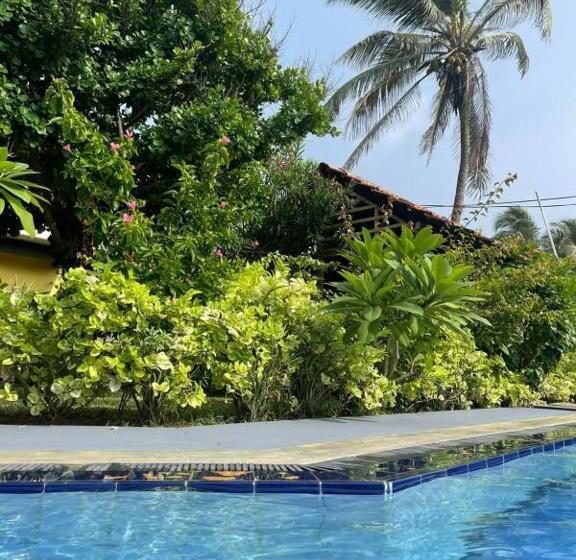 فندق Solomon Beach