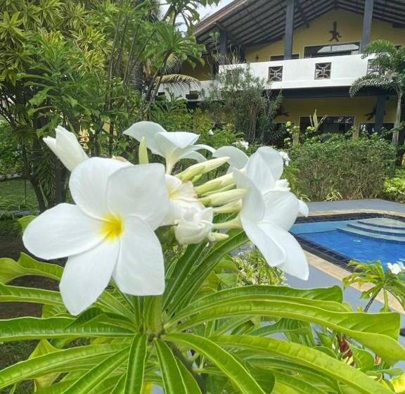 فندق Solomon Beach