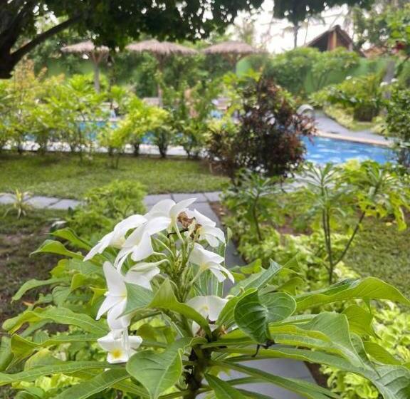 فندق Solomon Beach