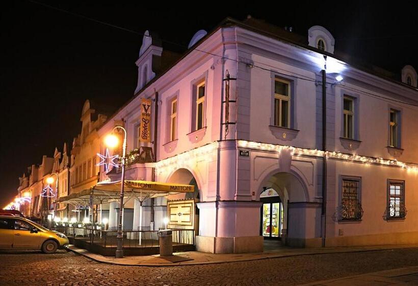 ホテル Zlatá Včela