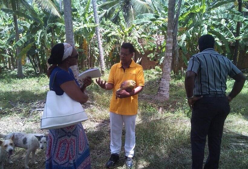 ベッドアンドブレックファースト Le Meridien Bnb