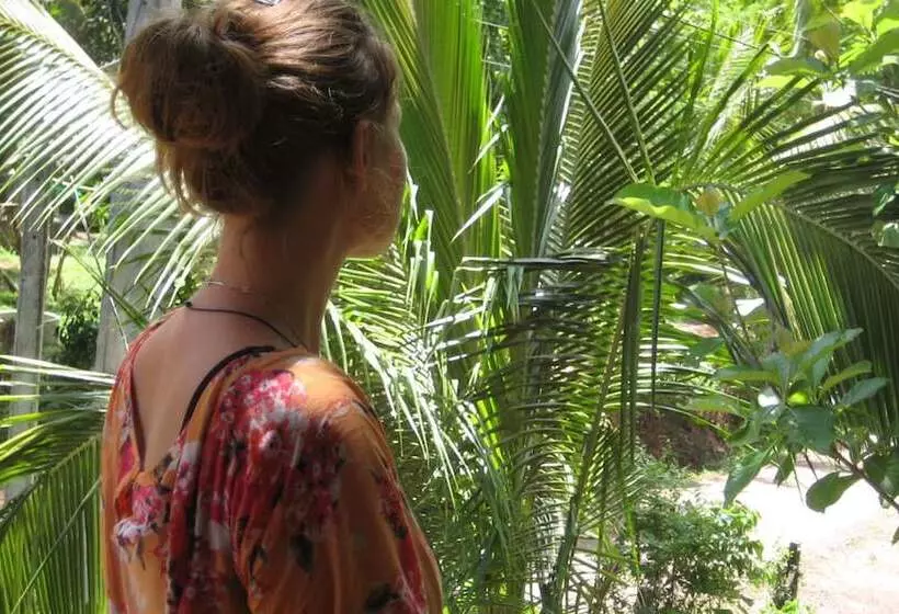 تختخواب و صبحانه Le Meridien Bnb