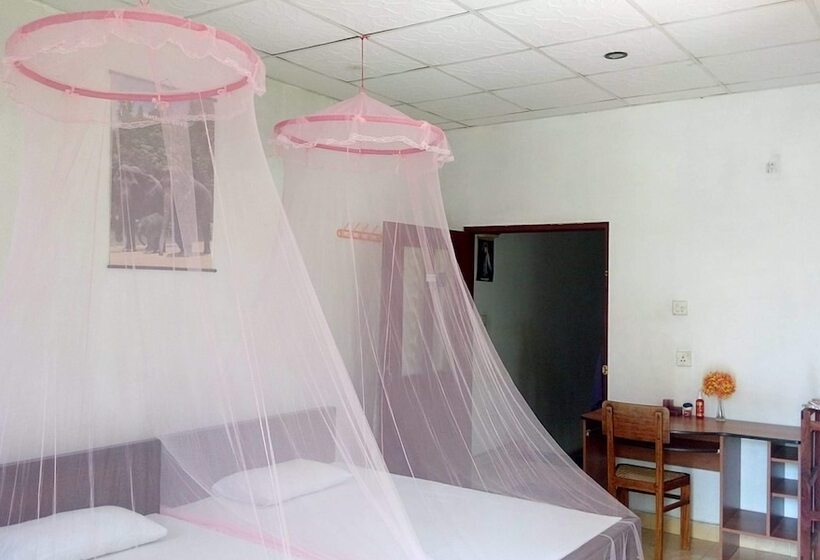 ベッドアンドブレックファースト Le Meridien Bnb