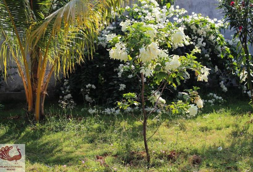 리조트 Nilaveli Ayurveda Center
