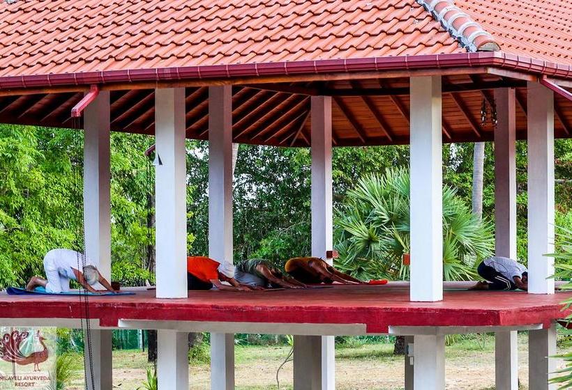 리조트 Nilaveli Ayurveda Center