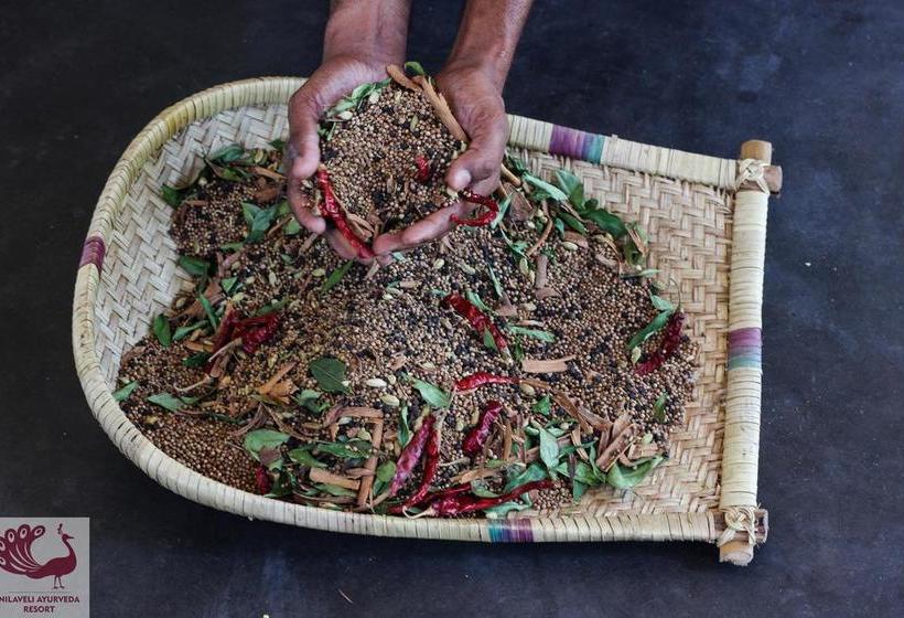 리조트 Nilaveli Ayurveda Center