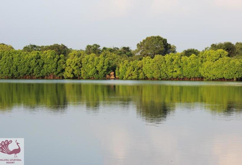 리조트 Nilaveli Ayurveda Center