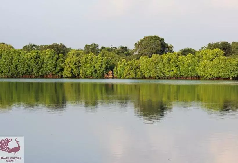 استراحتگاه Nilaveli Ayurveda Center