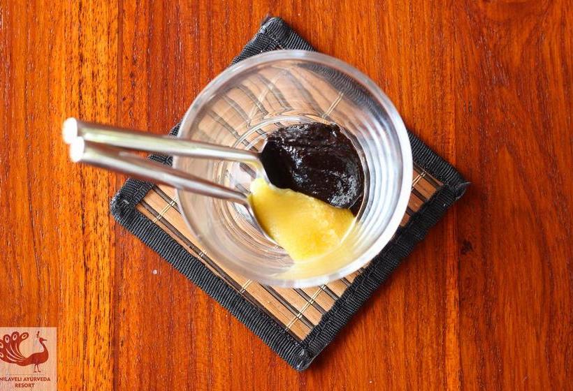 리조트 Nilaveli Ayurveda Center