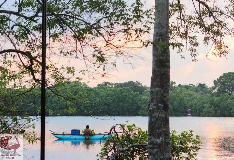 리조트 Nilaveli Ayurveda Center