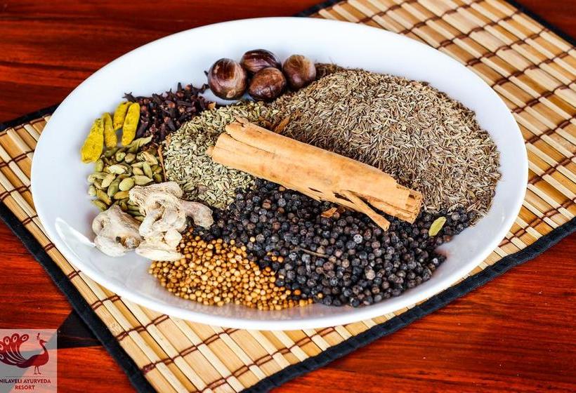 리조트 Nilaveli Ayurveda Center