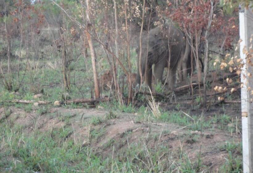 אתר נופש Sigiri Forest View