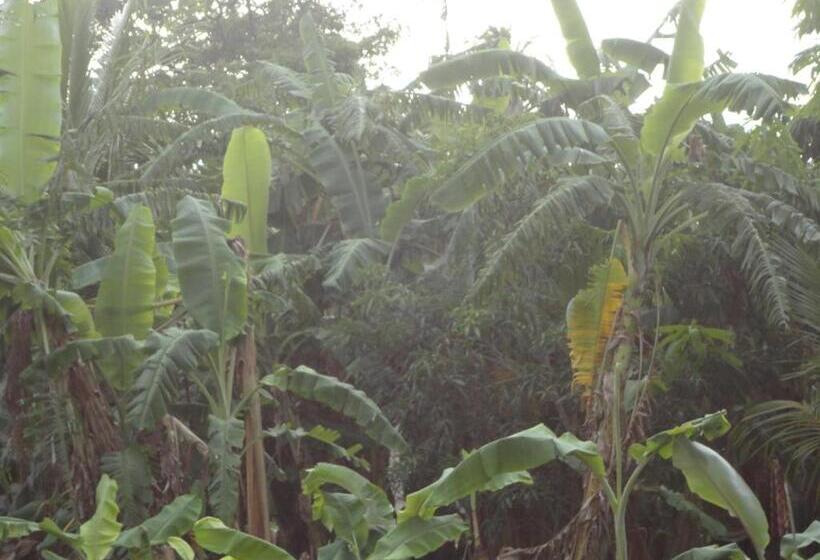 אתר נופש Sigiri Forest View