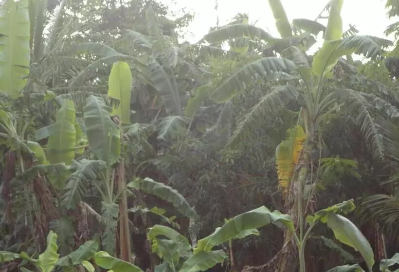 استراحتگاه Sigiri Forest View