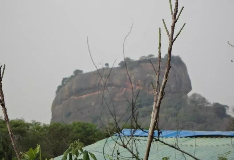 استراحتگاه Sigiri Forest View