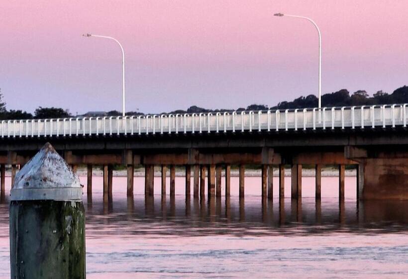 汽车旅馆 South Pacific Palms Motor Inn