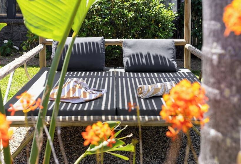 汽车旅馆 South Pacific Palms Motor Inn