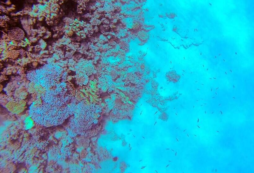 هاستل El Primo Hotel Dahab