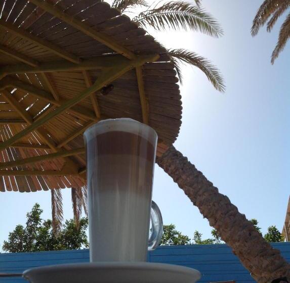 هاستل El Primo Hotel Dahab