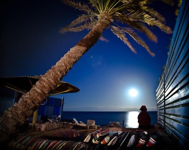 هاستل El Primo Hotel Dahab