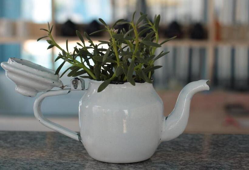 هاستل El Primo Hotel Dahab