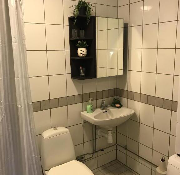 旅馆 Hedemora Logi