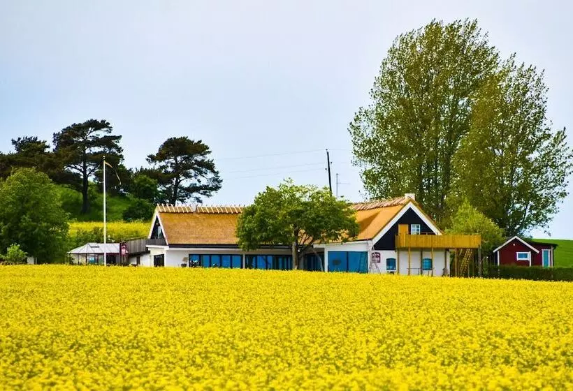 Aamiaismajoitus (B&B) Sydkustens At Pillehill