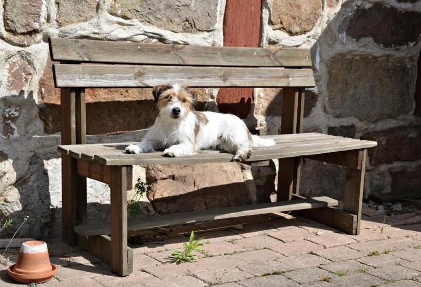 ベッドアンドブレックファースト Torsborgs Gård