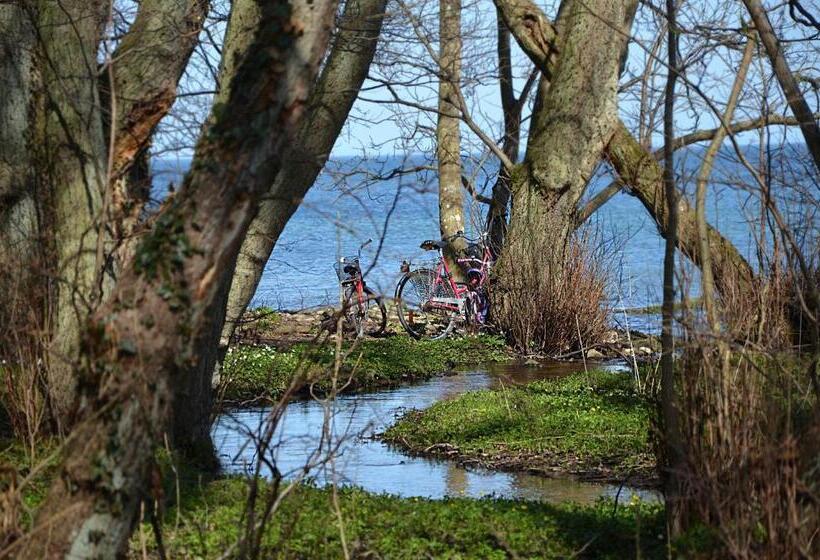 ベッドアンドブレックファースト Torsborgs Gård