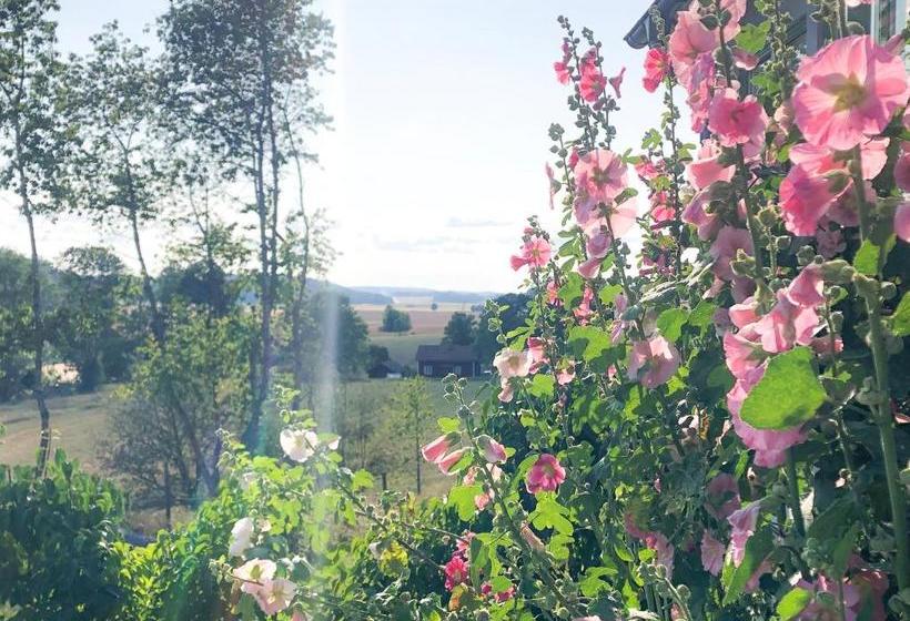 مبيت وإفطار Tuna Orangeri