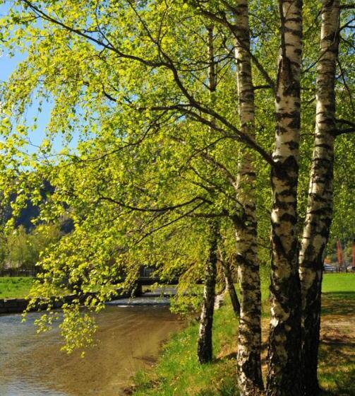Gaupnetunet Hotell Og Hytter