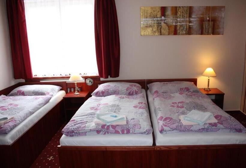 בית מלון כפרי Hynek