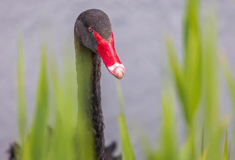 酒店 Pajūrio Sodyba