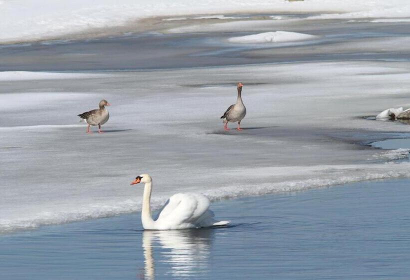 Uddens Bed & Breakfast