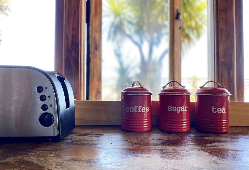 הוסטל Noah's Ark Backpackers