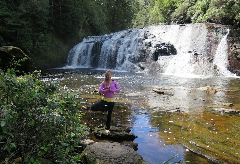 הוסטל Noah's Ark Backpackers