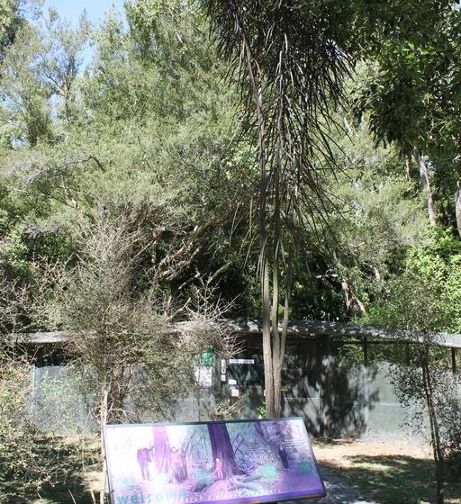 Aroha Riccarton Bed And Breakfast